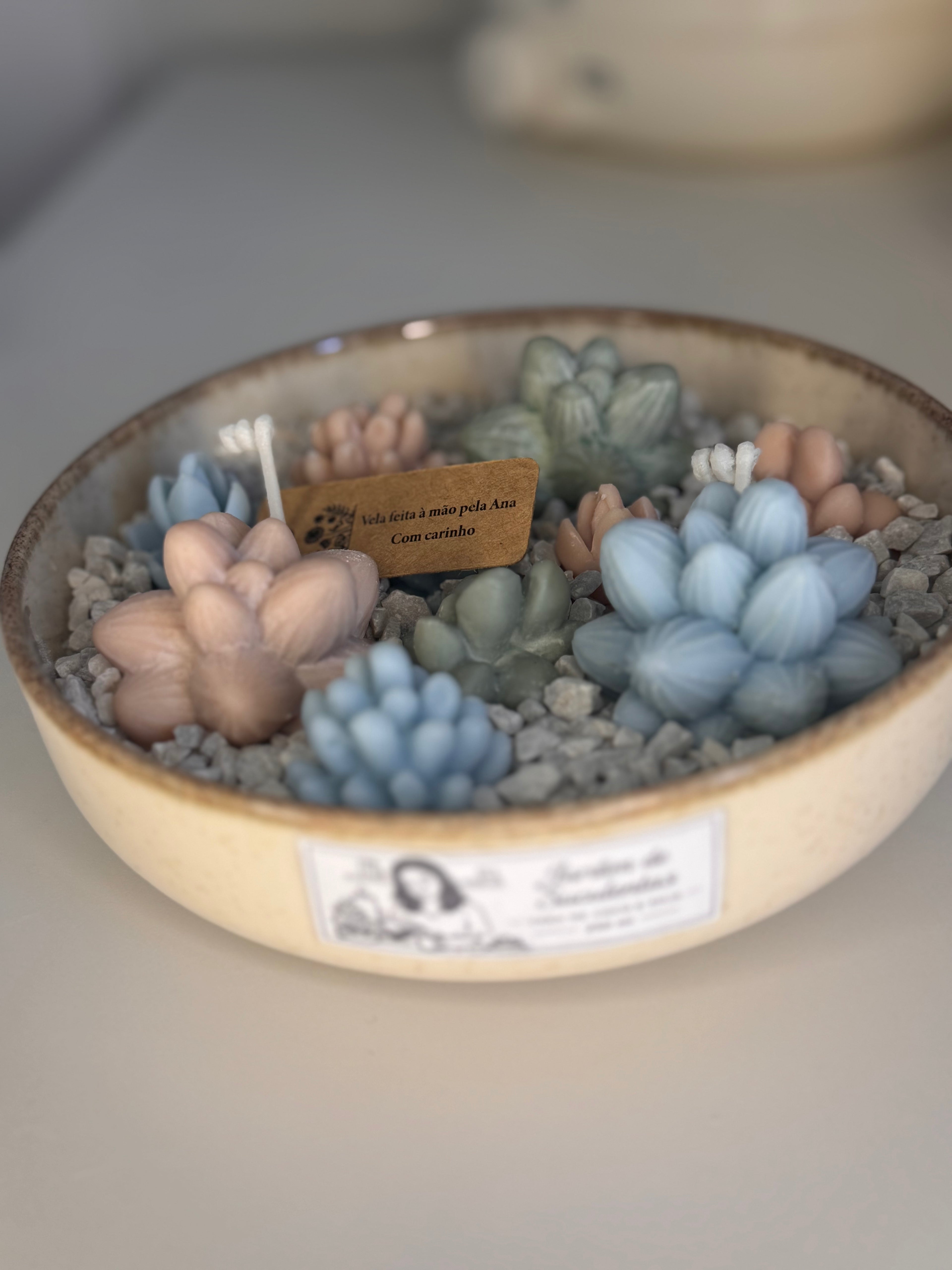 Jardim de Suculentas Pequeno