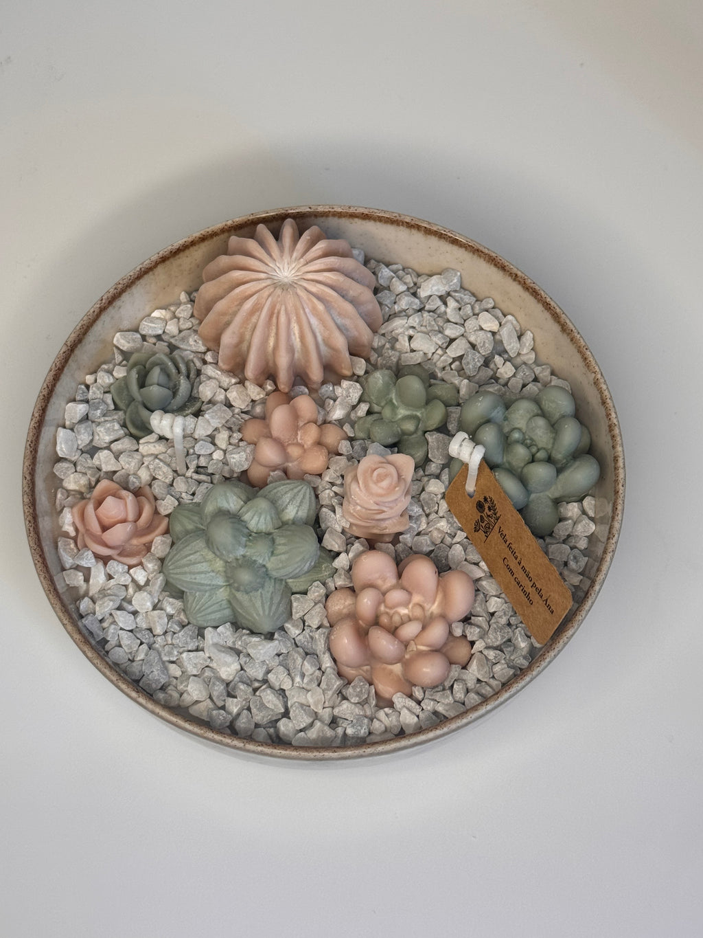 Jardim de Suculentas Pequeno