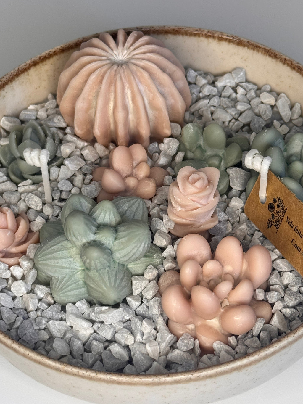Jardim de Suculentas Pequeno