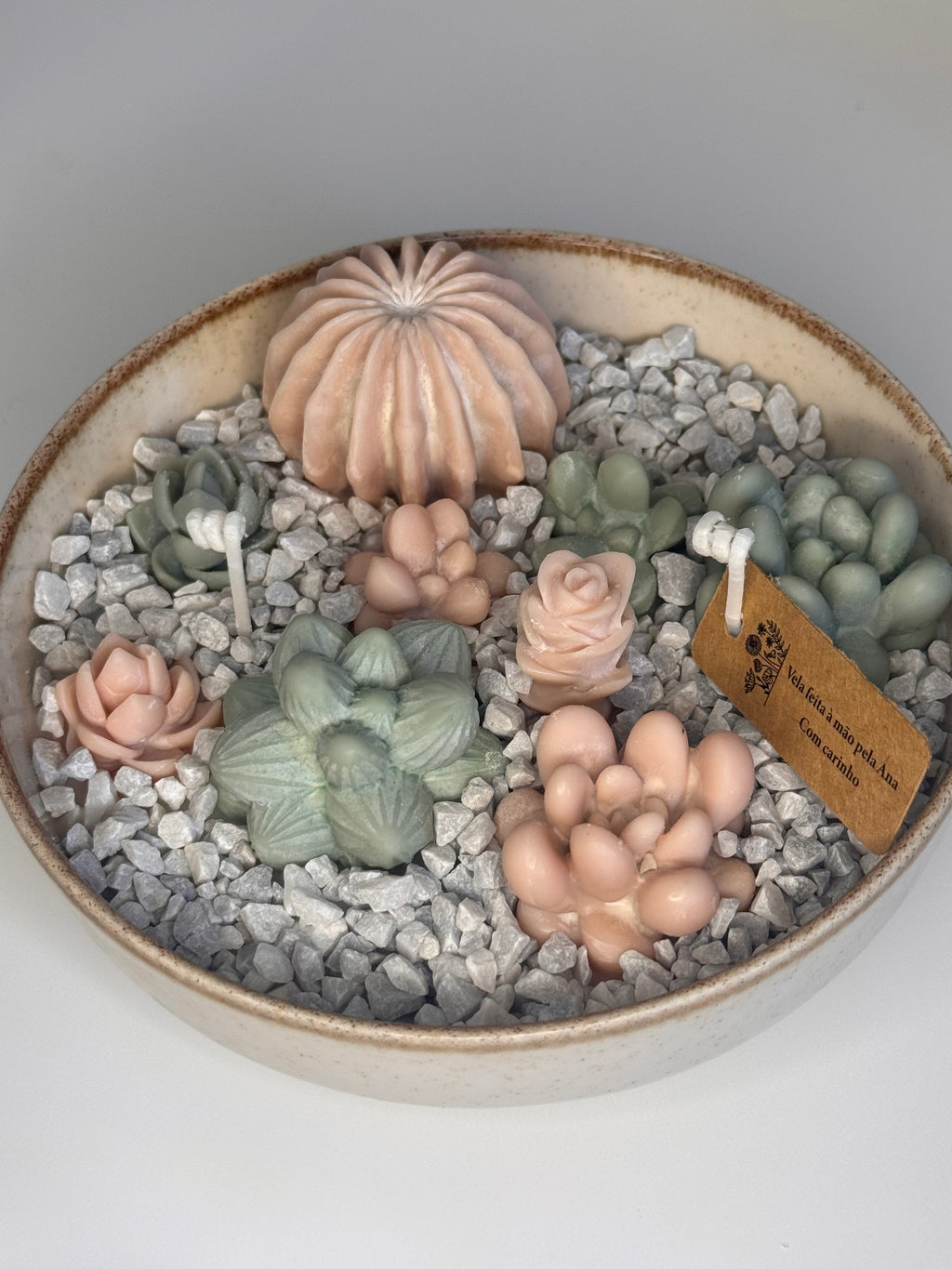 Jardim de Suculentas Pequeno
