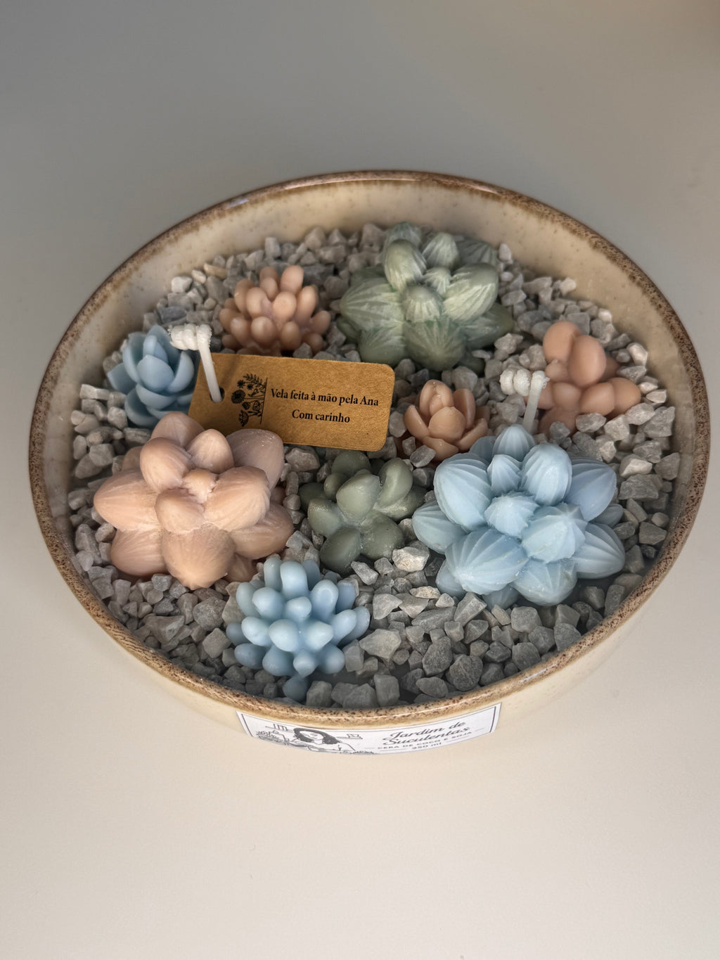Jardim de Suculentas Pequeno