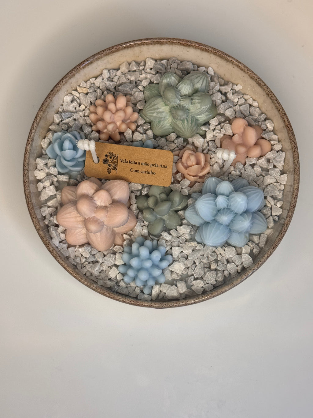 Jardim de Suculentas Pequeno