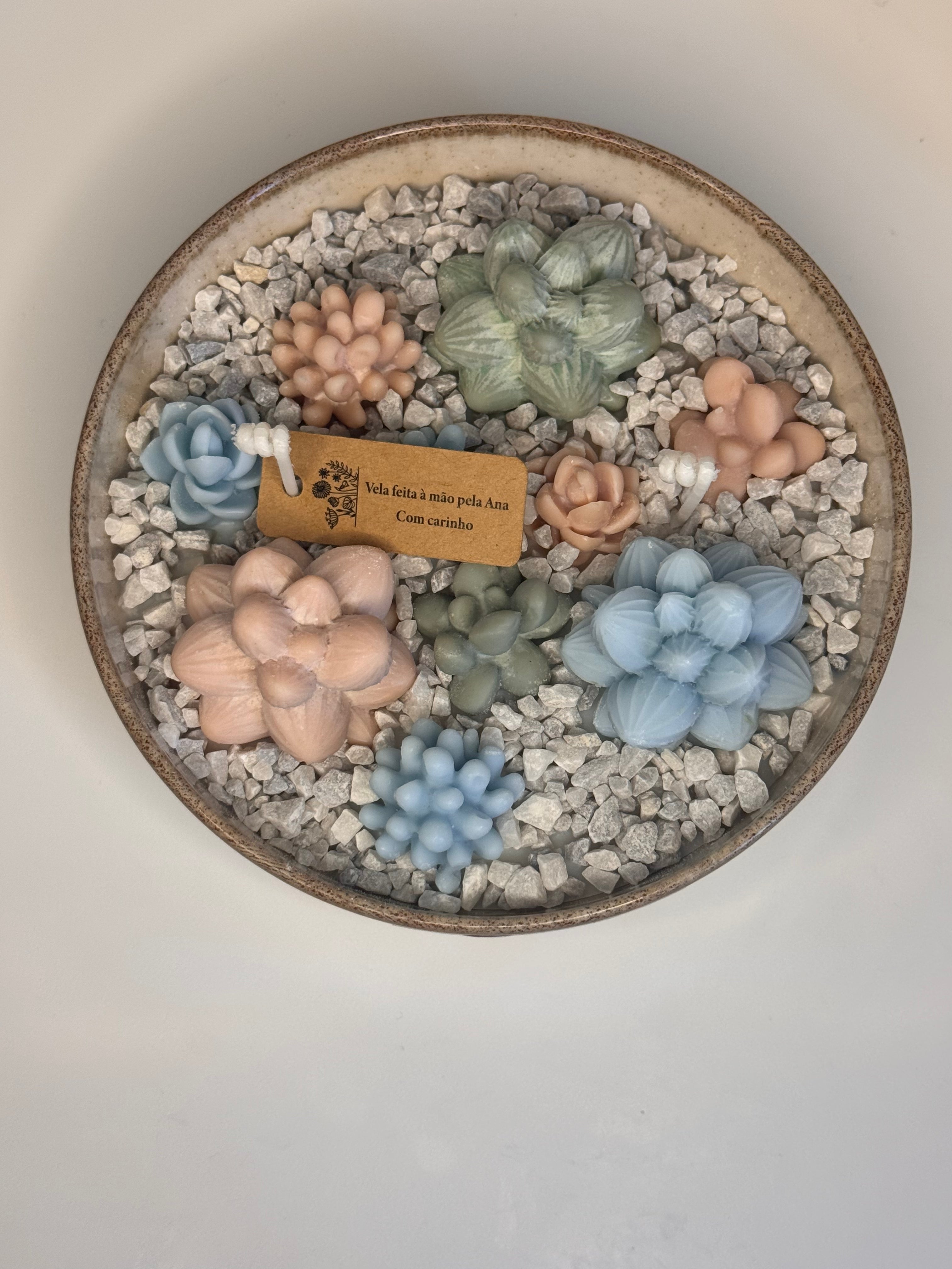 Jardim de Suculentas Pequeno