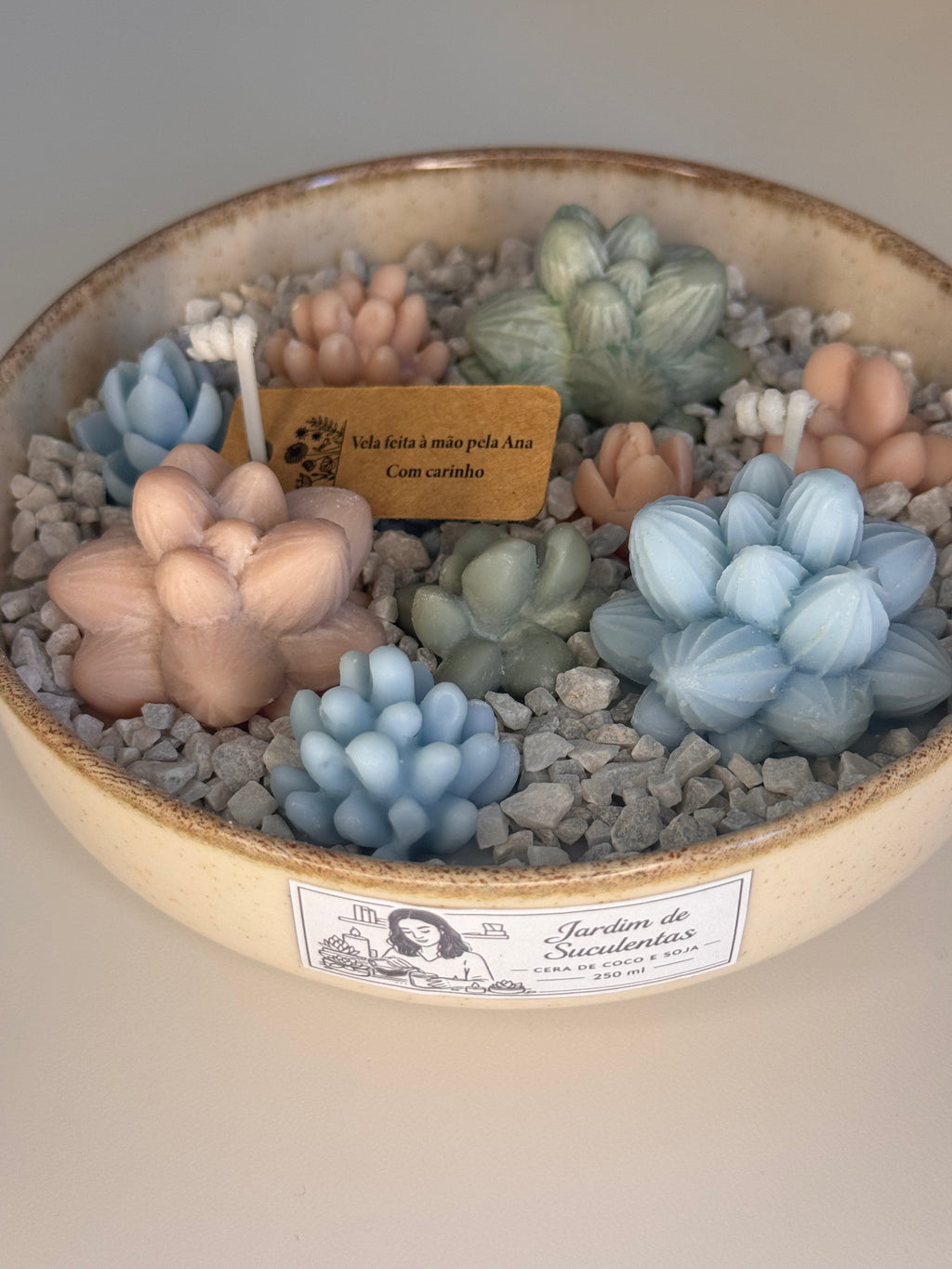 Jardim de Suculentas Pequeno