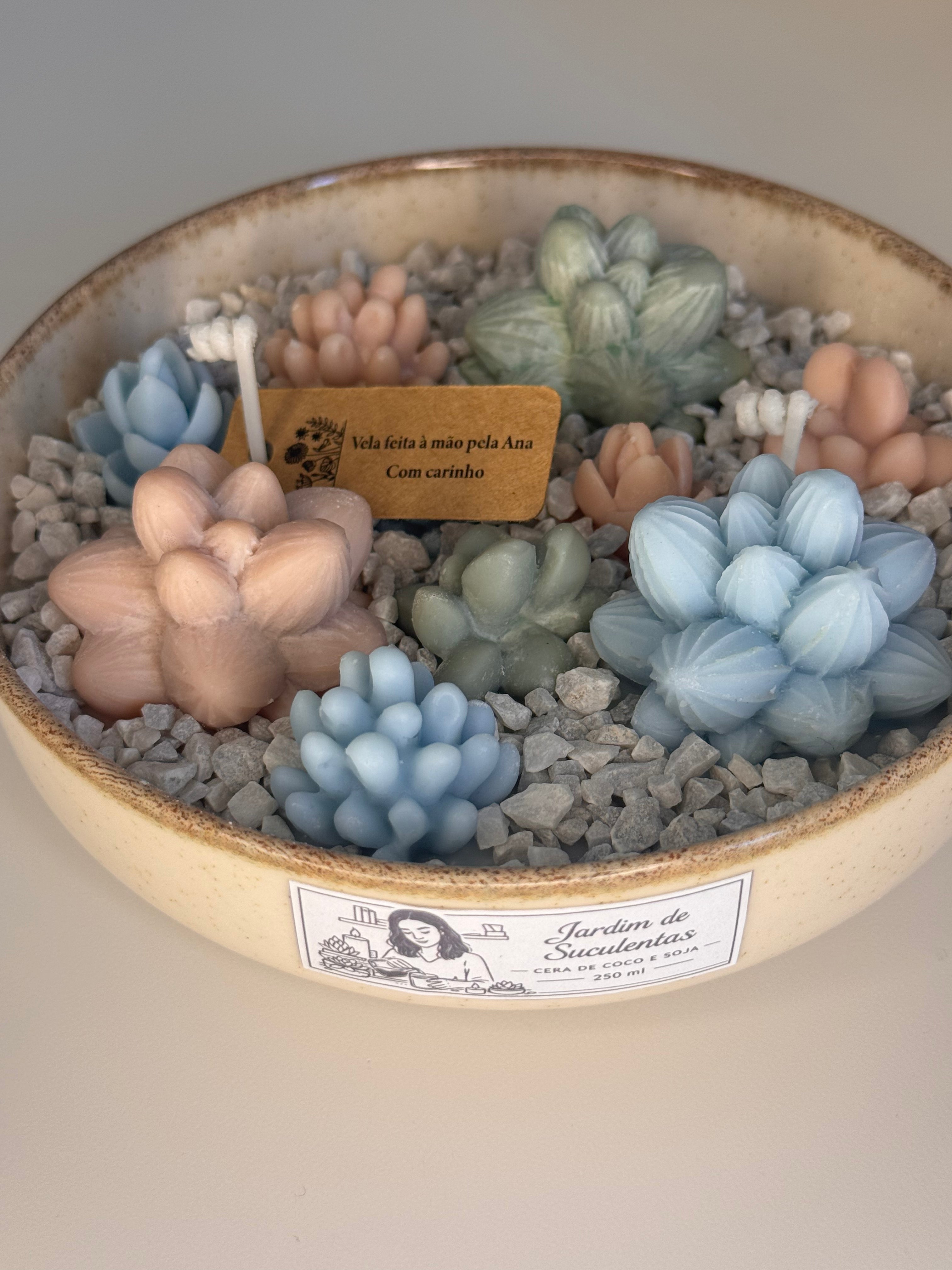 Jardim de Suculentas Pequeno