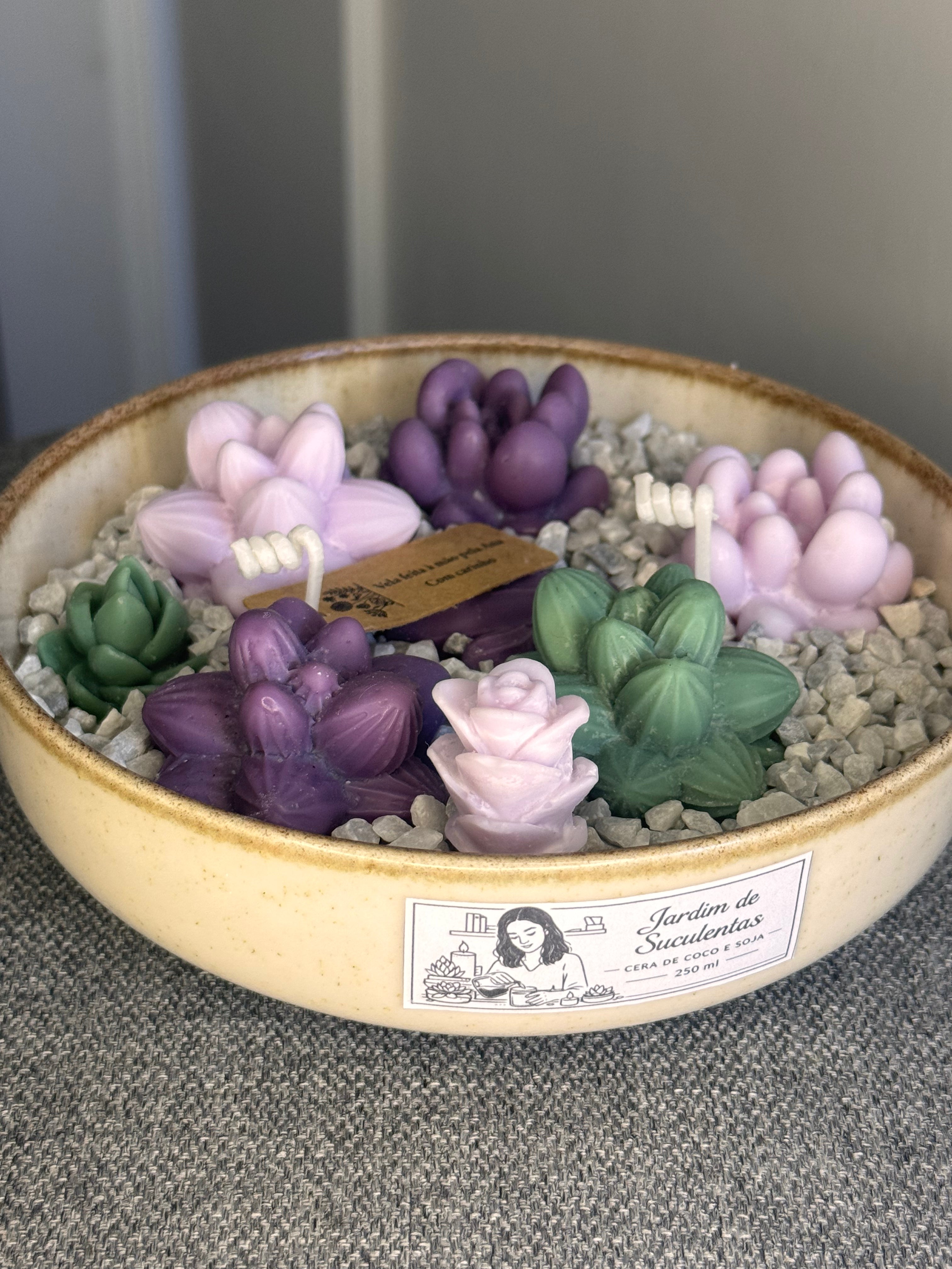 Jardim de Suculentas Pequeno