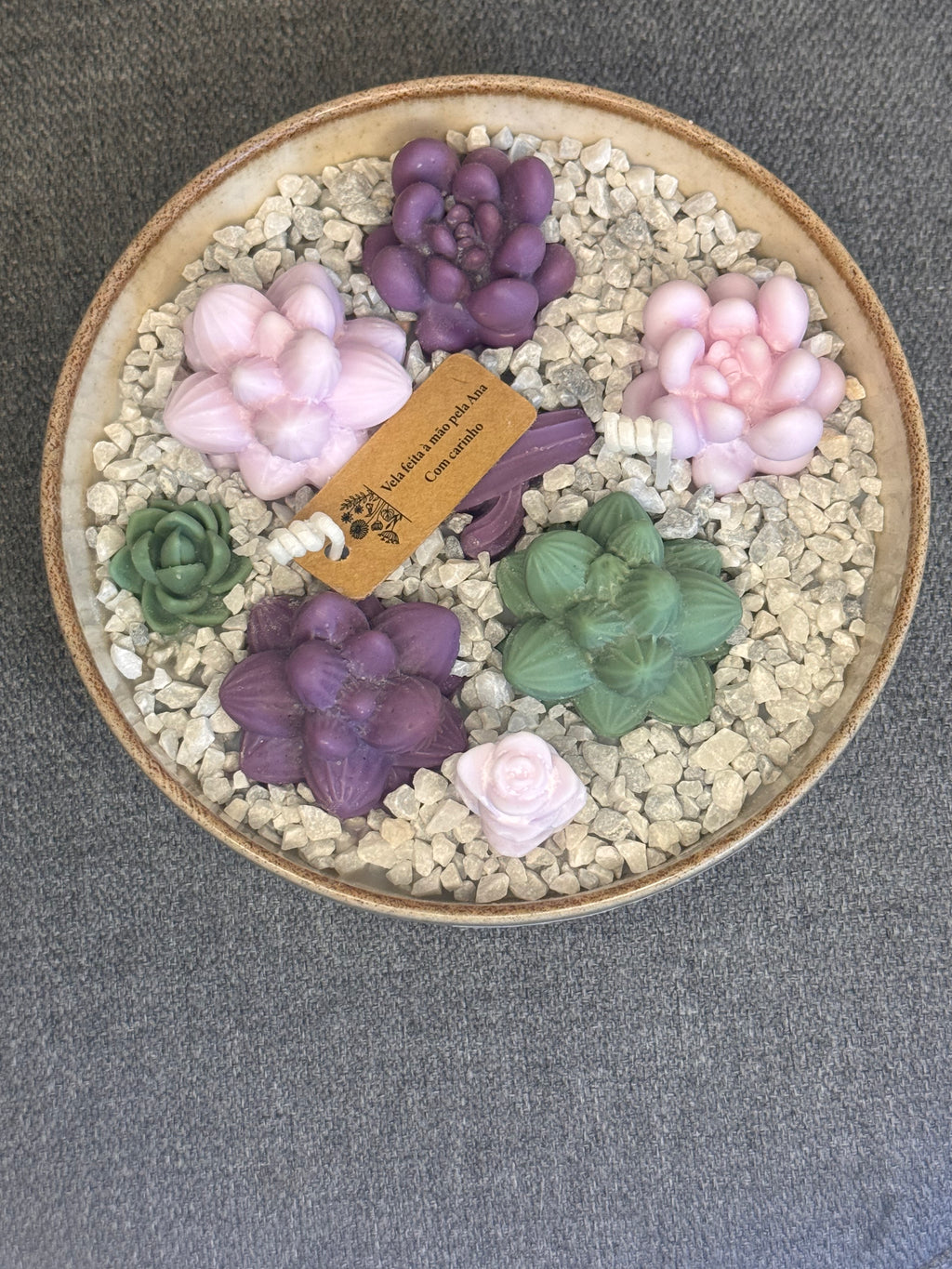 Jardim de Suculentas Pequeno