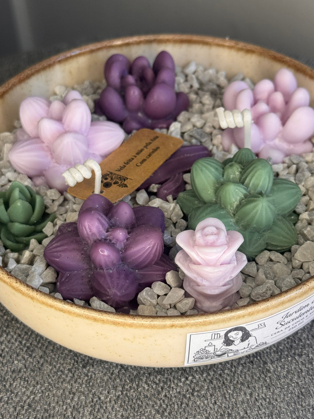 Jardim de Suculentas Pequeno