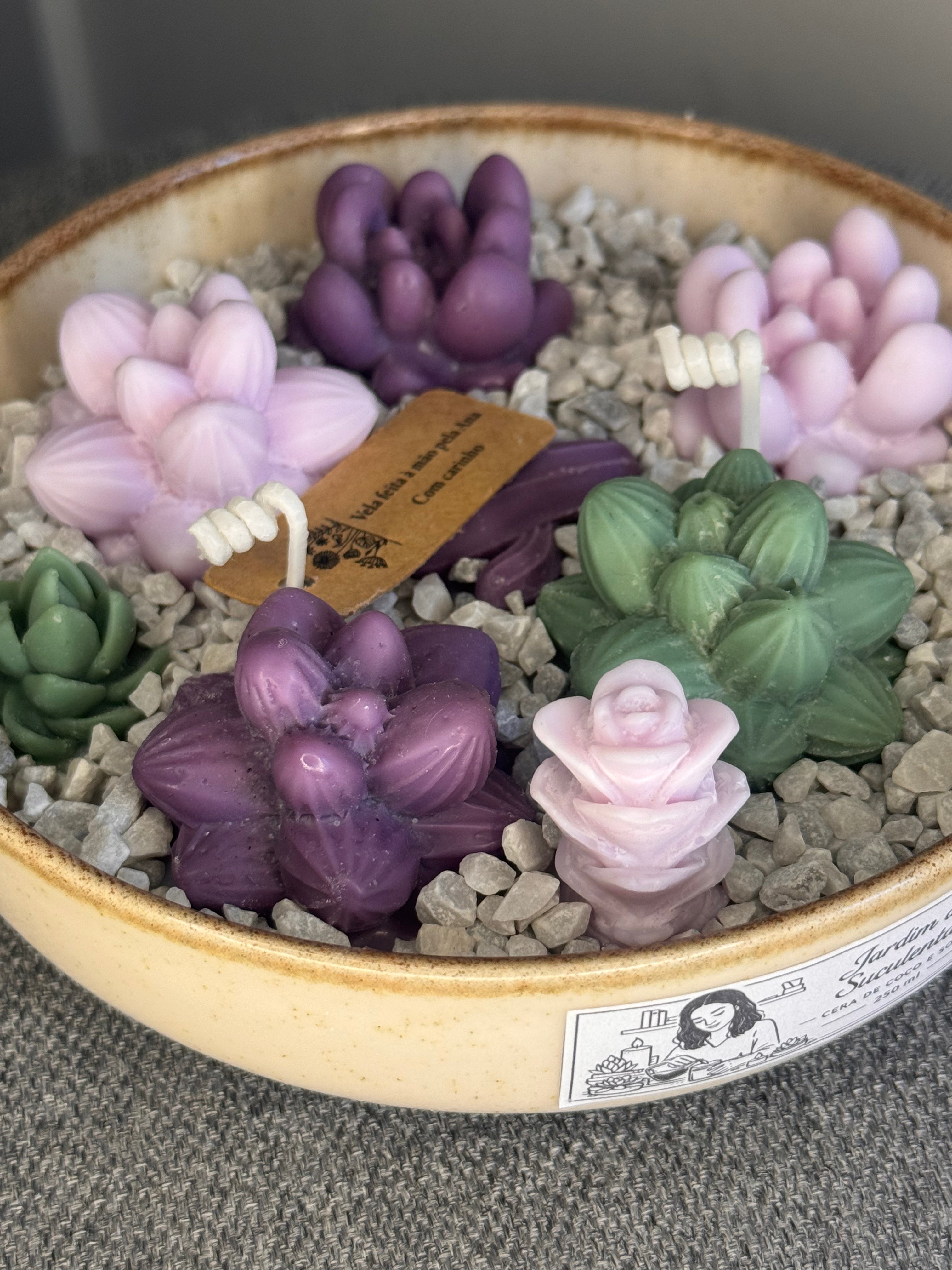 Jardim de Suculentas Pequeno
