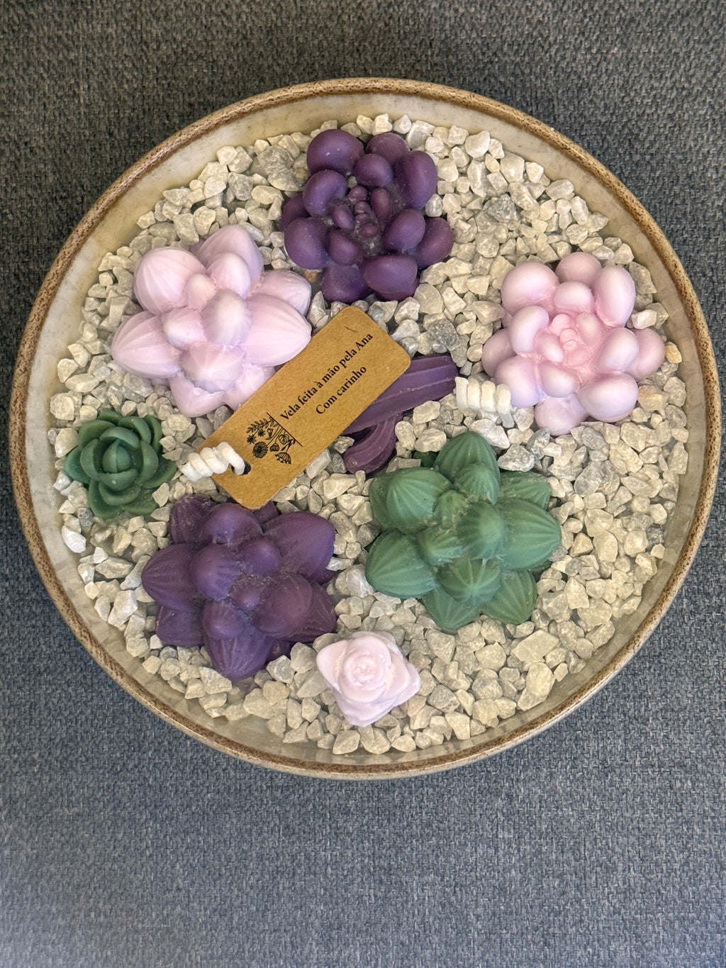 Jardim de Suculentas Pequeno