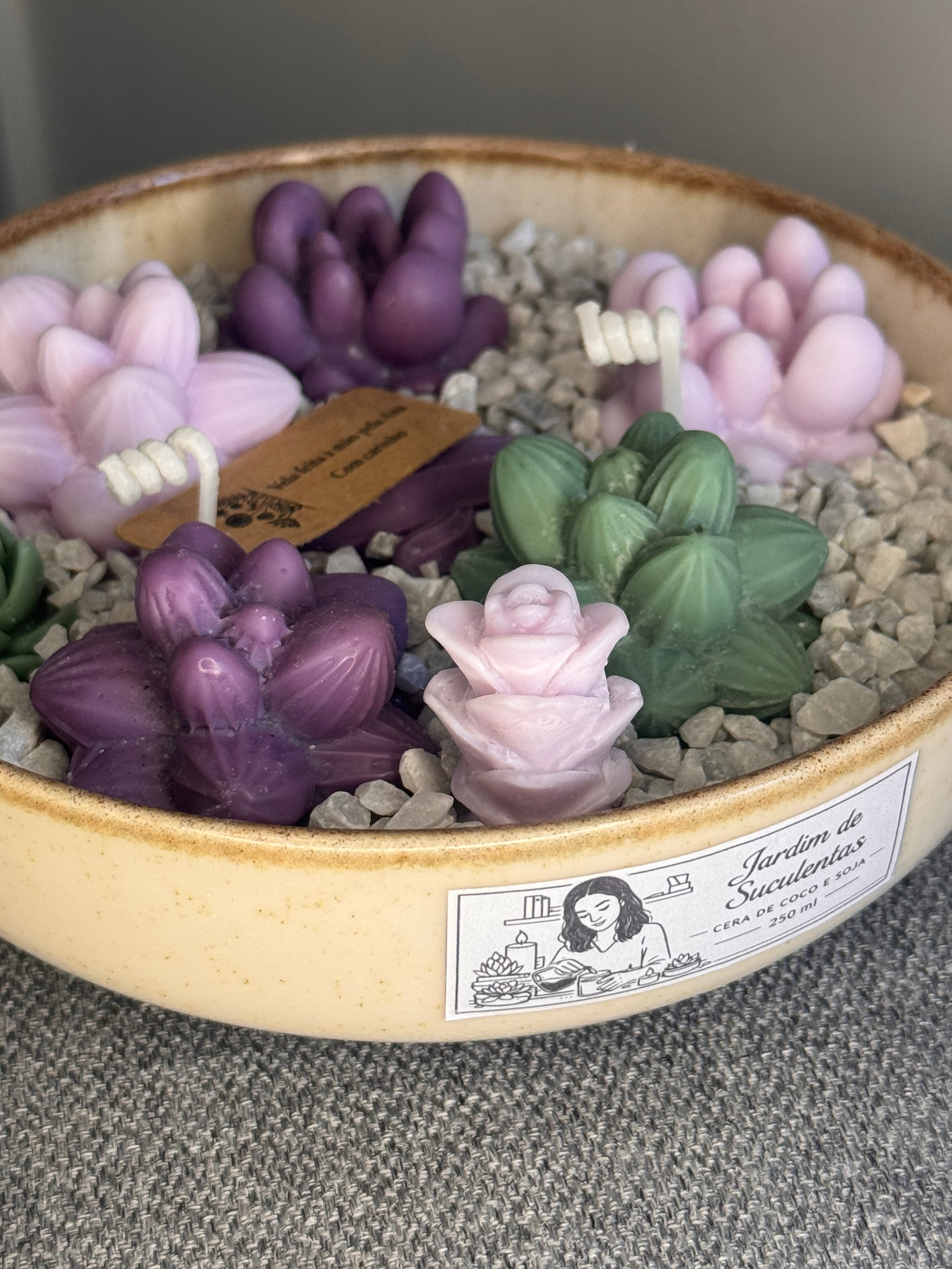 Jardim de Suculentas Pequeno